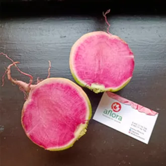 Редька арбузная красная / 500 гр Редька арбузная красная / 500 гр