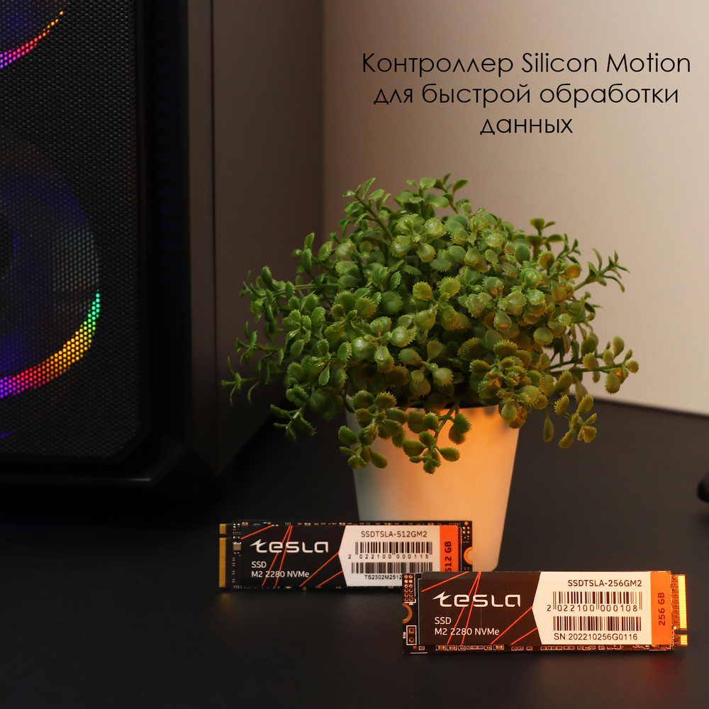 SSD TESLA 1Тб, M.2 2280, NVMe, Bulk, TLC, PCIe3.0, Чтение:3500мб/с, Запись:3100мб/с (SSDTSLA-1TBM2)