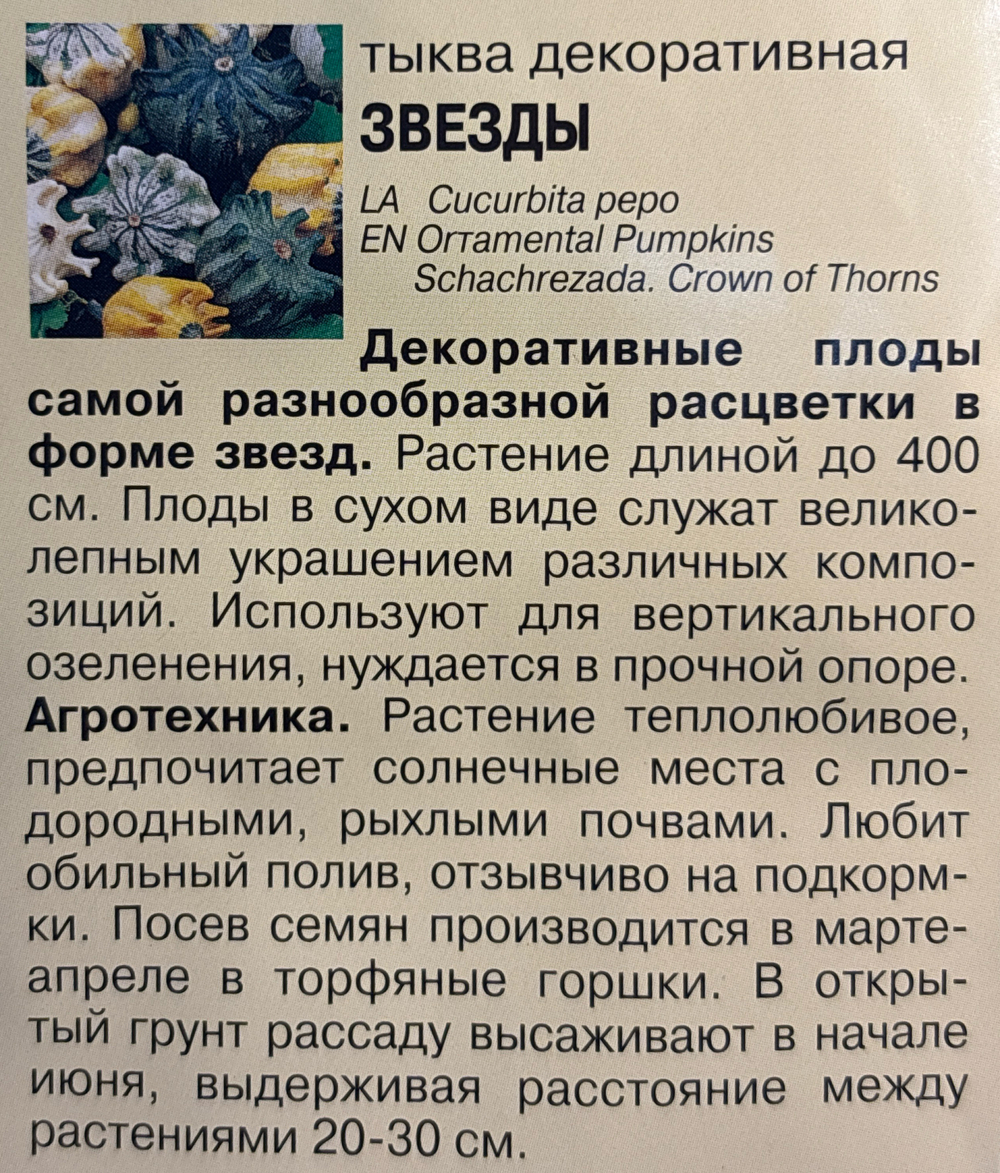 Тыква Звезды Шахерезады, 1г., Урожай Удачи СМТК-16