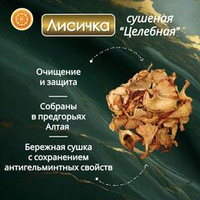 Лисичка сушеная "Целебная"