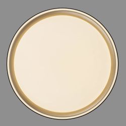 Citilux BOSS CL751251G LED RGB Светильник с пультом Чёрный с Золотом