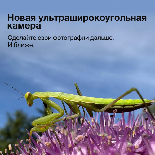 Смартфон Apple iPhone 16 Plus, 128 GB, Black (черный), nanoSIM+eSIM