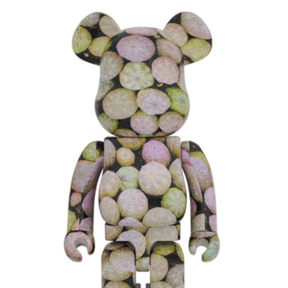 Дизайнерские игрушки BE@RBRICK x BOTANIZE BOTANIZE 1000%, BOTANIZE-1000％