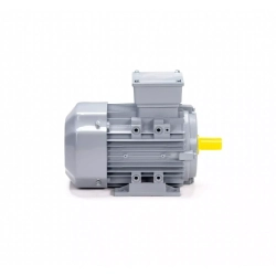 Электродвигатель ESQ PR 90 LA4-SDN-Б1-S12-IE2 1,5/1500 IMB3