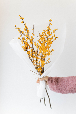 Желтый илекс - новогодние ветки с ягодами для декора. Яркие, стойкие, стильные. Заказать с доставкой в Москве