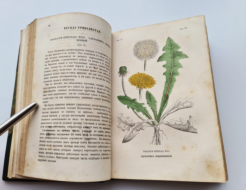 "Ботанические беседы". Б.Ауэрсвальд, Э.А.Россмесслер. 1860 г. - редкая книга