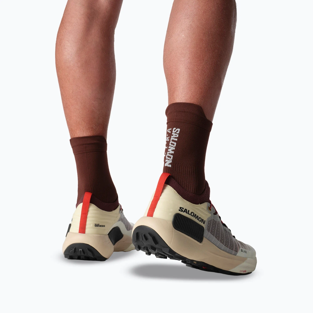 Кроссовки для бега Salomon S/LAB Genesis vanila ice/chocolate/black