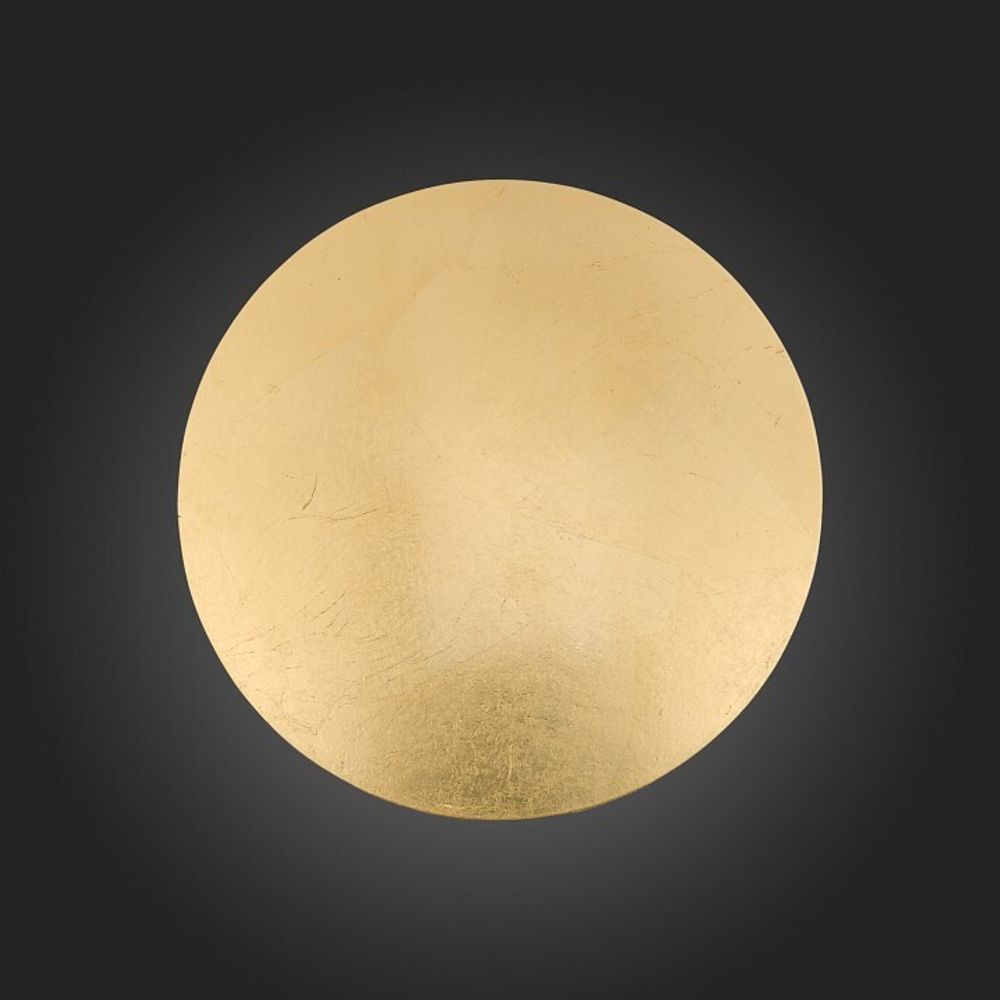 Накладной светильник ST-Luce Aureo SL457.211.01