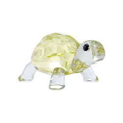 IDYLLIA:BABY TORTOISE