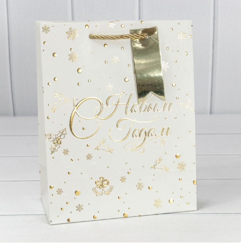 Пакет подарочный 18*23*10 НГ (микс 402)