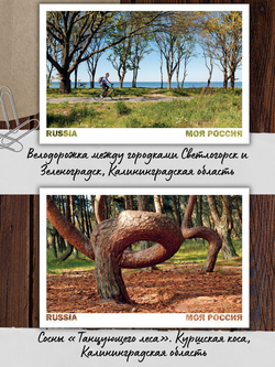 Моя Россия. Лето (выпуск №5, 2026)