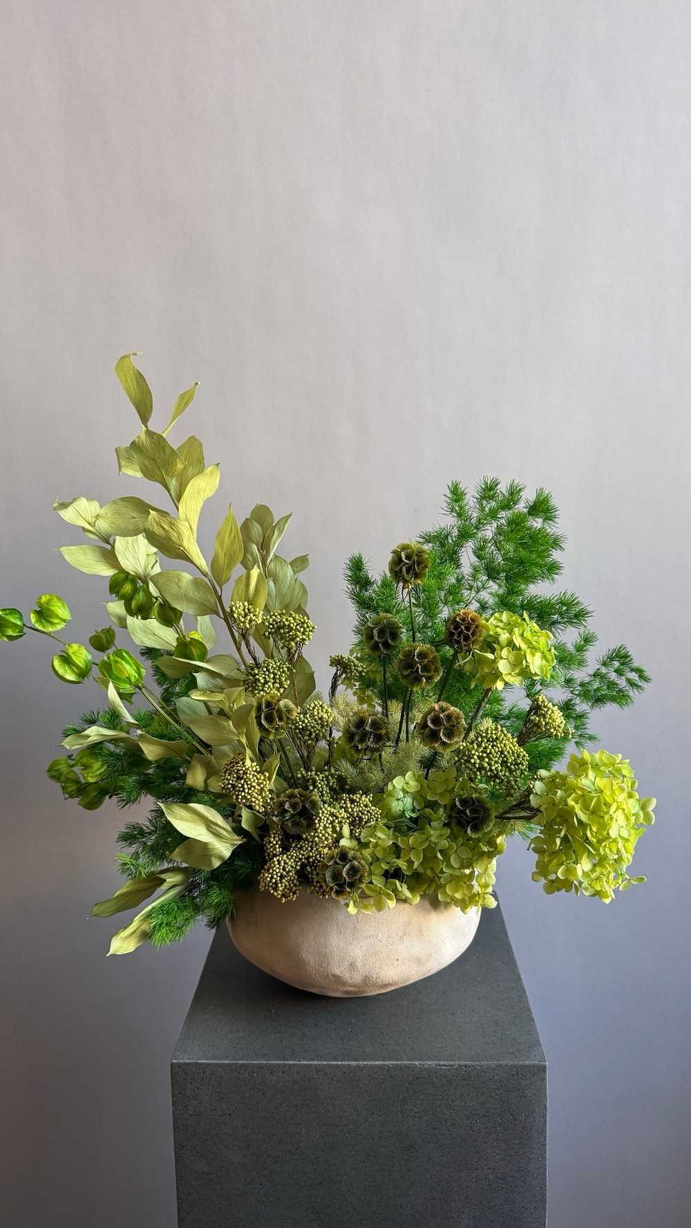 Композиция в кашпо Озотамнус