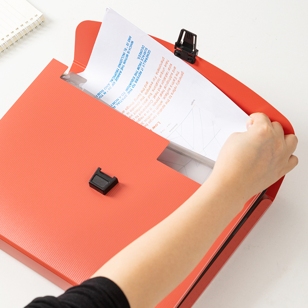 Папка-портфель DELI, А4, 13 отделений, 0,75 мм,  ассорти