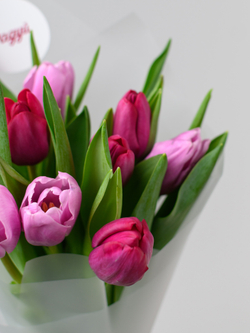 Тюльпаны микс