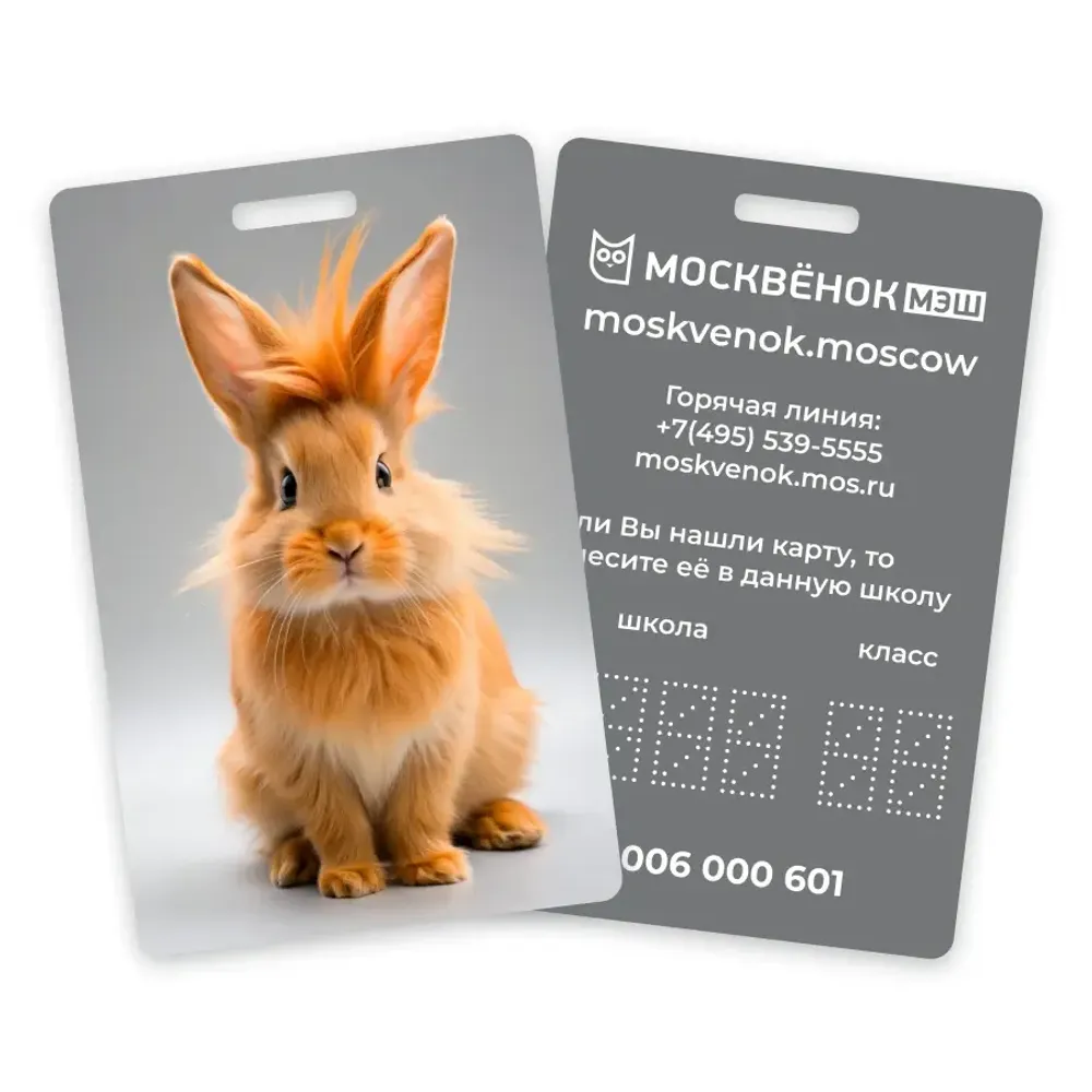 Карта Москвёнок BUNNY №2 (проход + питание)