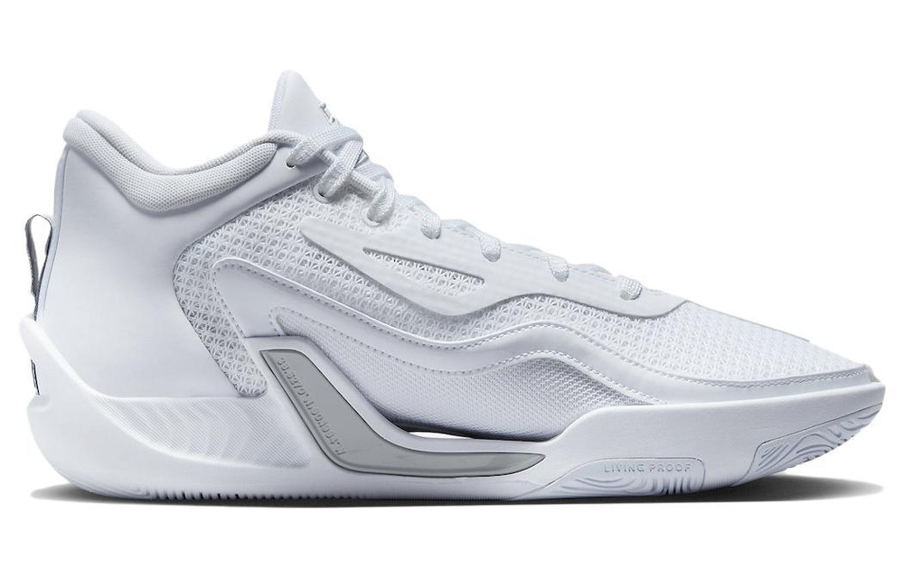 Кроссовки Jordan Tatum 1 "Pure Money"