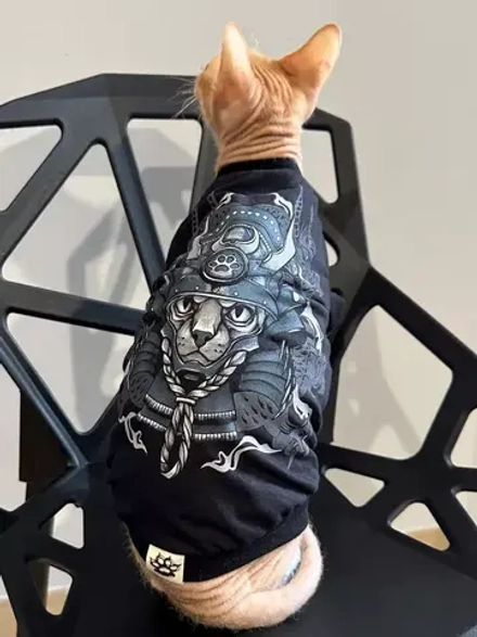 Одежда для кошек сфинкс