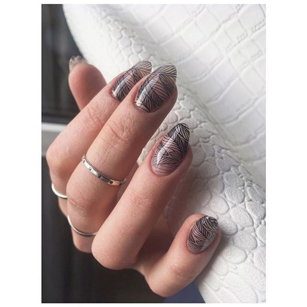 Swanky Stamping Пластина для стемпинга 051..