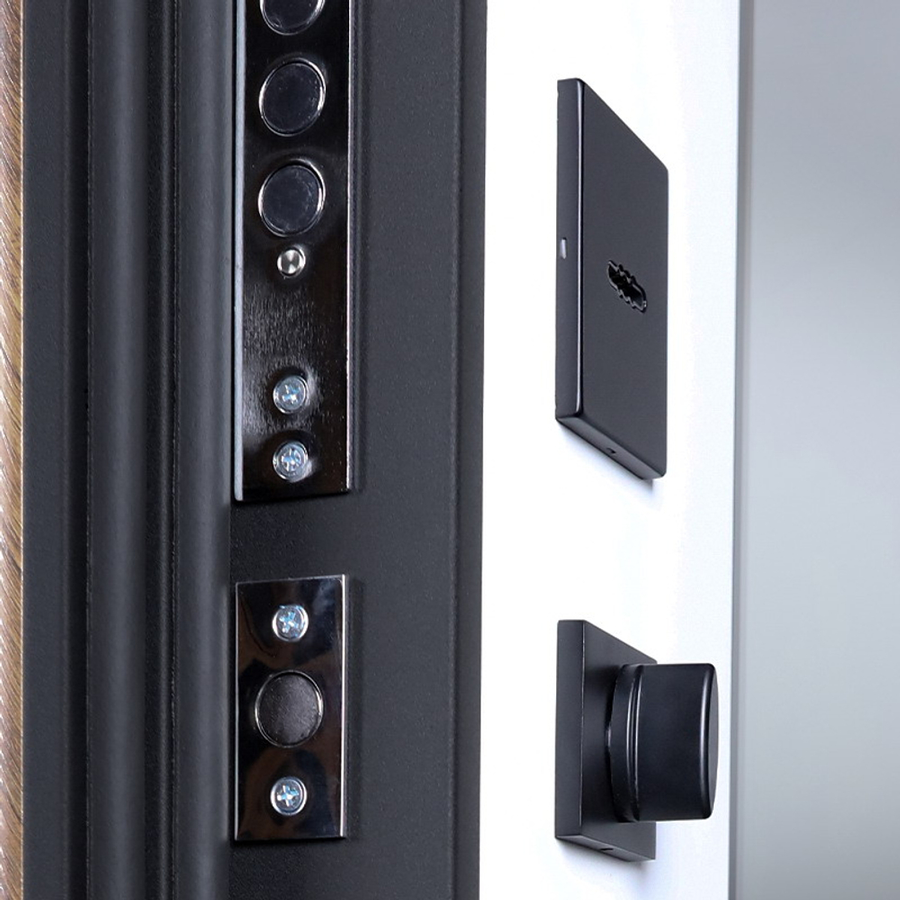 Стальная дверь "Plata" с зеркалом (умная дверная ручка). Заказная модель.