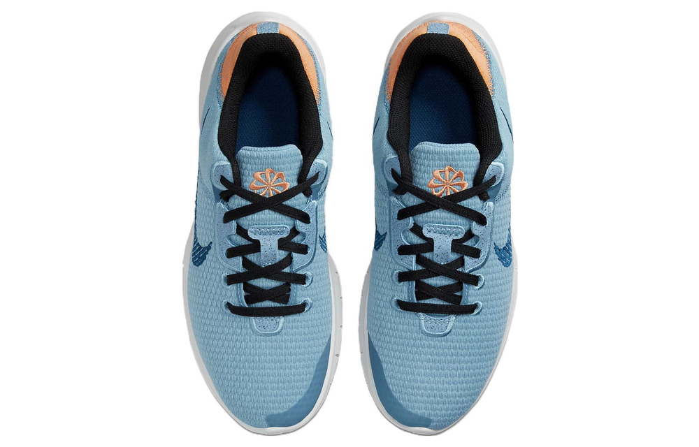 Кроссовки Nike Flex Experience Run 11 Next Nature (Женская размерная сетка)