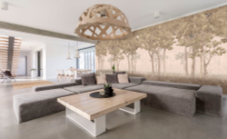 Коллекция Aurora