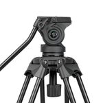 GreenBean HDV Elite 419