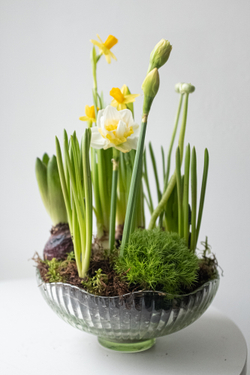 Композиция с первоцветами в вазе размер L