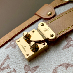 Louis Vuitton Side Trunk MM