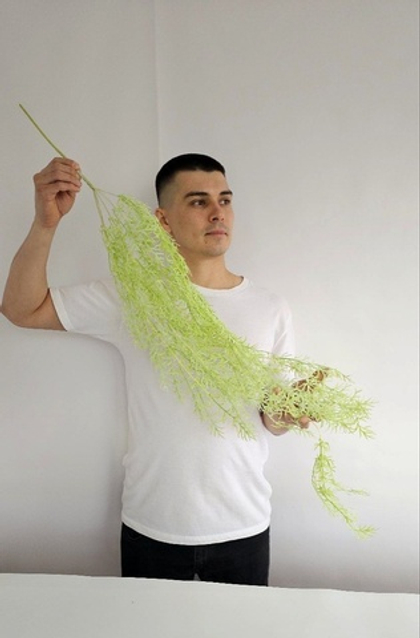 Рипсалис светлый / Арт 4213