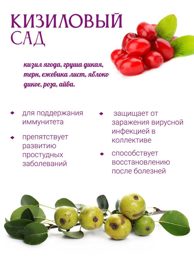 Чай фруктовый "Кизиловый сад"