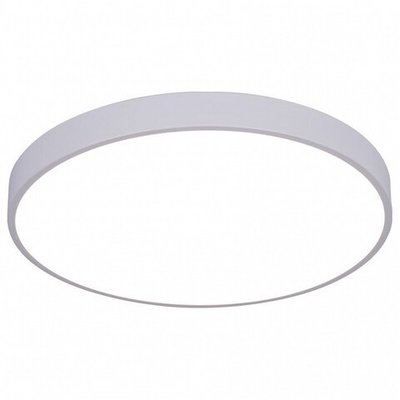 Накладной светильник Arte Lamp Arena A2670PL-1WH