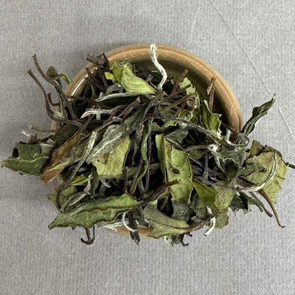 Бай Му Дань №100