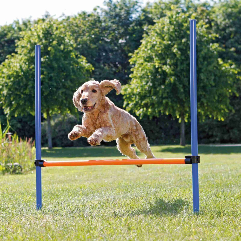 Набор для аджилити Trixie Jump, размер 123х115​см., оранжевый / синий