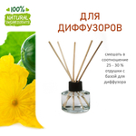 Огурец, отдушка для свечей и мыла