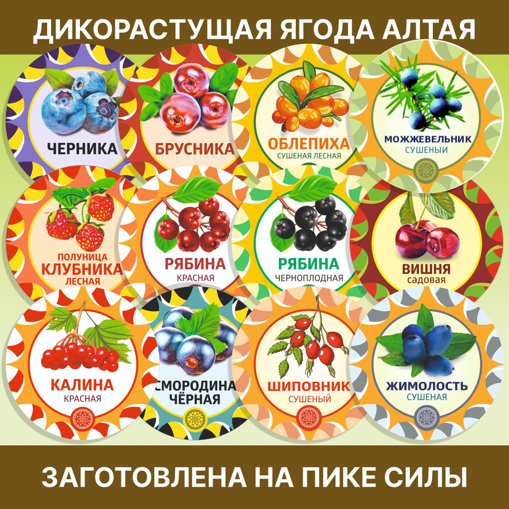 Белый гриб сушеный ароматный "Зрелый".