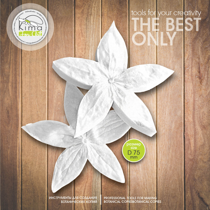 Физалис коробочка средняя