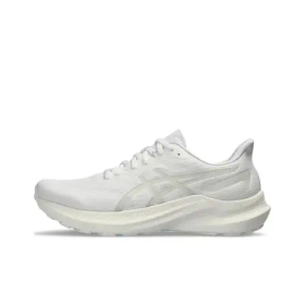 Мужские кроссовки ASICS GT-2000 12 'White Off White' 1011B691-103