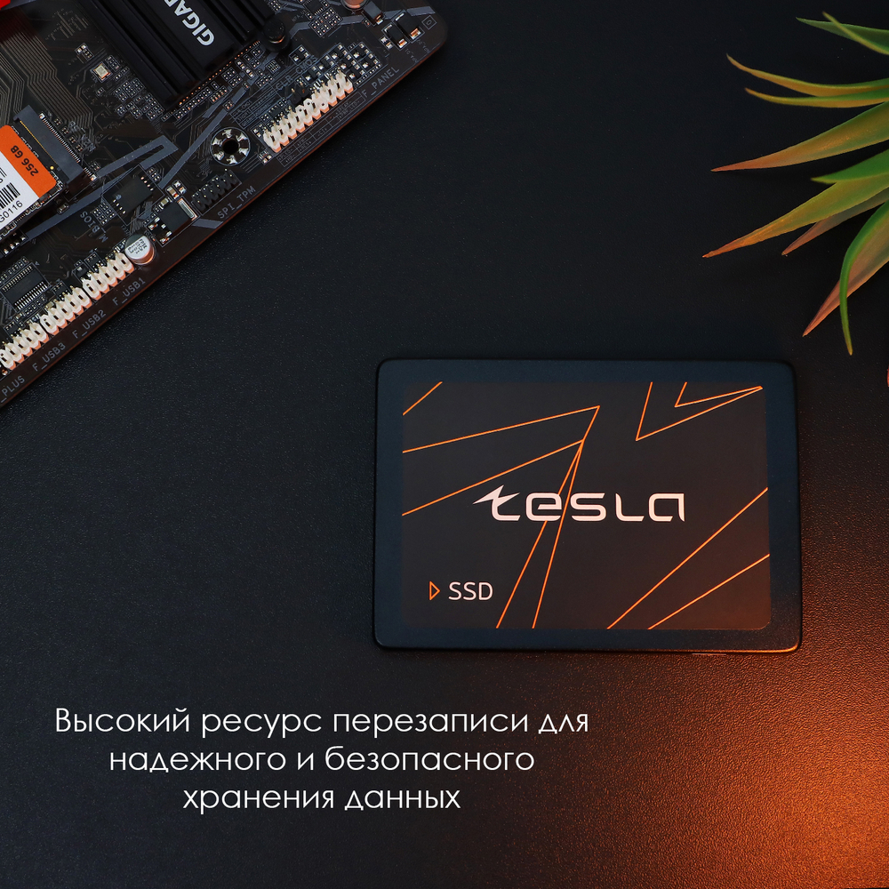 SSD TESLA 1Тб, 2.5", SATA3, Bulk, TLC, Чтение:550мб/с, Запись:500мб/с (SSDTSLA-1TBS3)