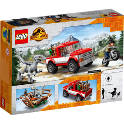 LEGO Jurassic World — Поимка синего и бета-велоцираптора 76946 / артикул   76946  / GTIN 5702016913521