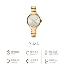 PUMA Contour Series Wrist Watch Quartz Movement Stainless Steel Strap 28mm White Dial Women"s Watch 30m Water Resistant