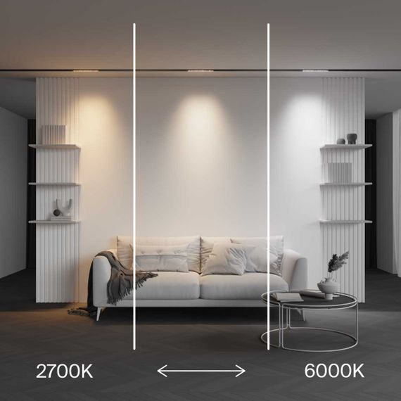 Трековый светильник Maytoni Technical EXILITY X Points TR241-4-6WTW-DD2-B