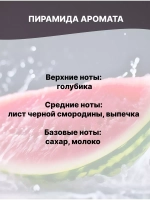 Отдушка Арбуз 50 гр
