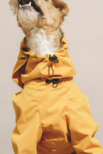 Комбинезон "Пони-комбинезони" горчичный