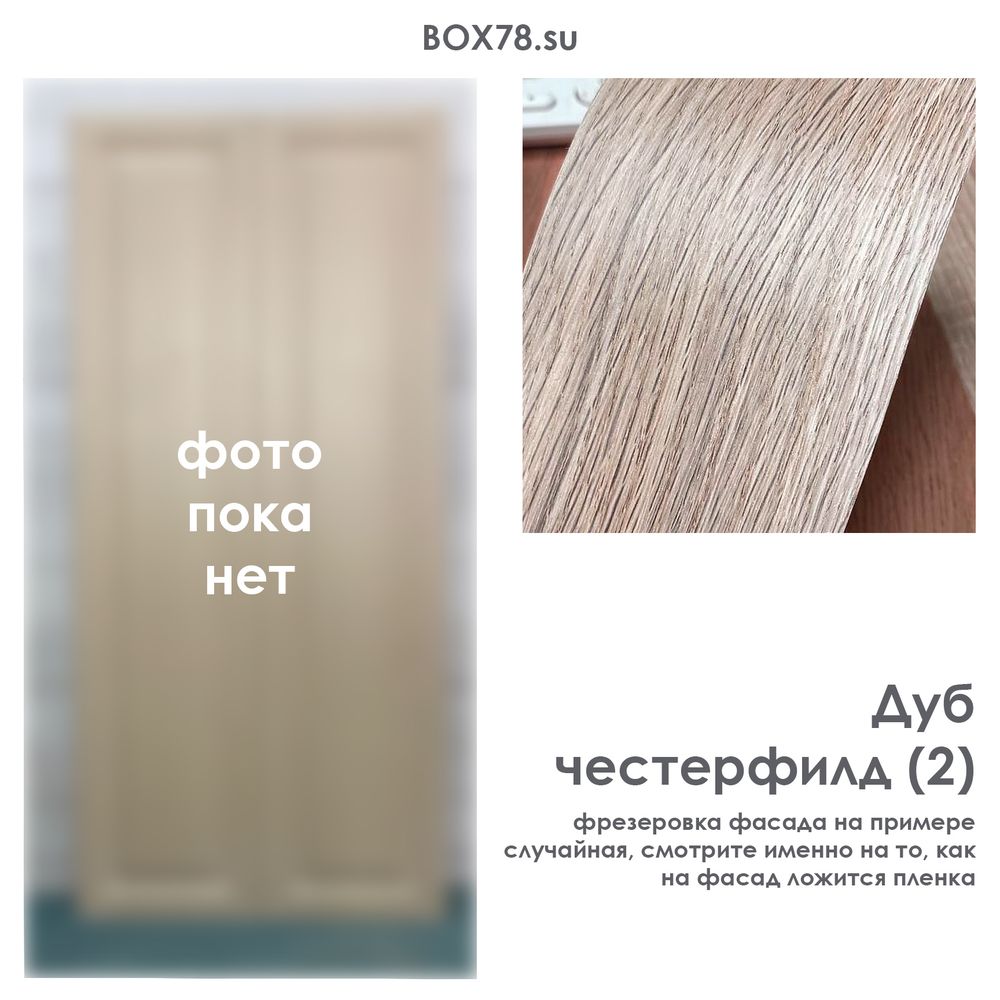 Дуб честерфилд (2)