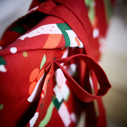 ВИНТЕРФИНТ VINTERFINT Кухонный фартук 85х89 см, красный/рождество