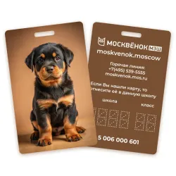 Карта Москвёнок DOGS №13 (проход + питание)