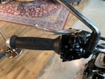 Royal Enfield Interceptor 650 Cali Green (Standard / Single tone)