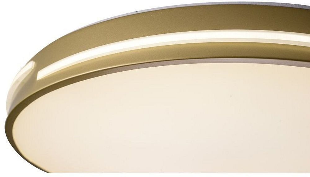 Накладной светильник Zortes Gabby ZRS.90610.50