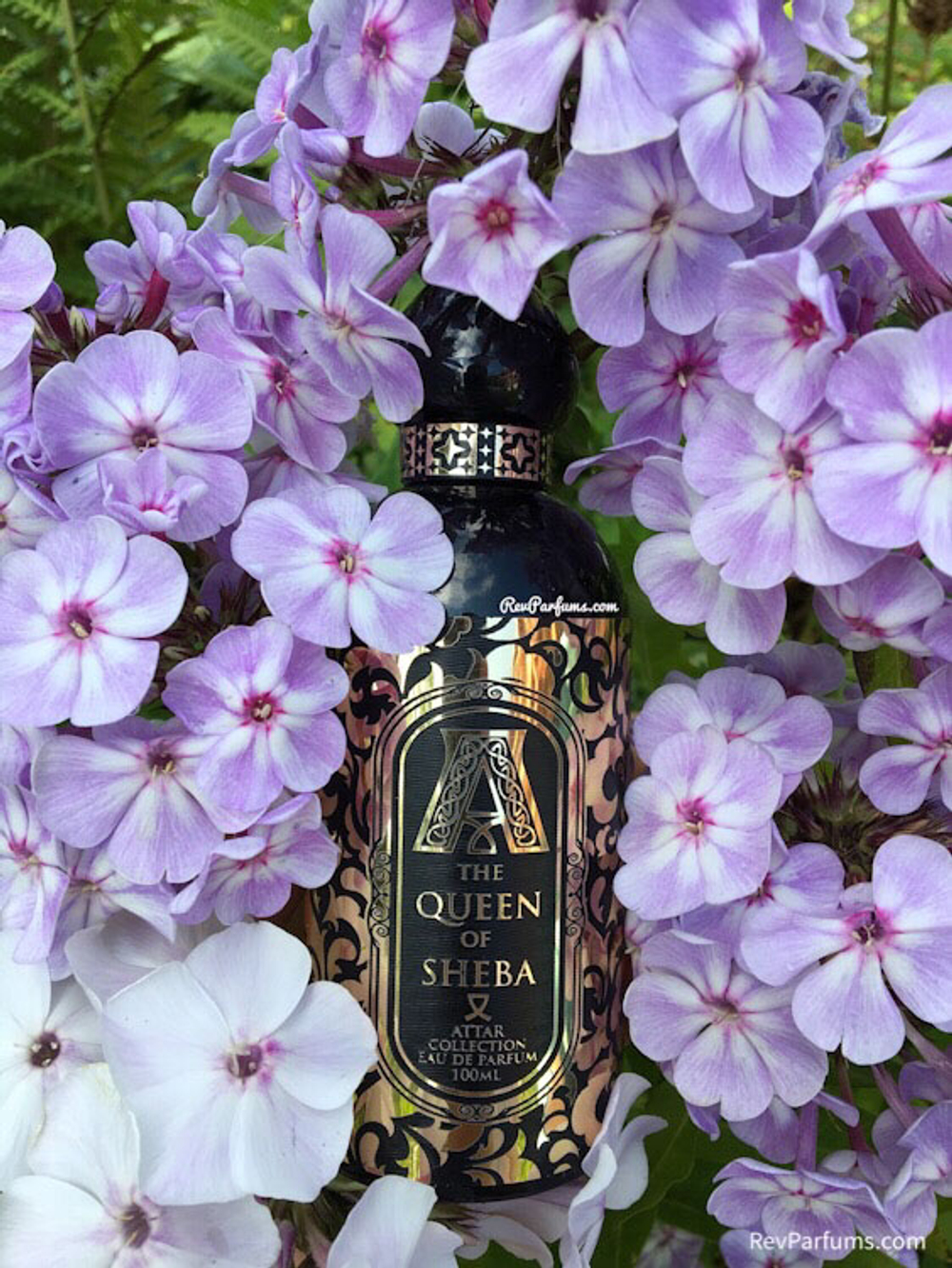 Attar Collection The Queen of Sheba