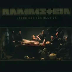 Rammstein Liebe Ist Fur Alle Da LP